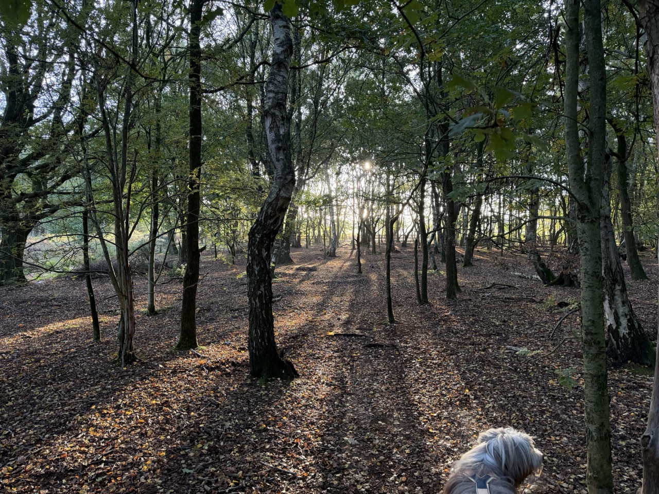 Home and work — photograph
